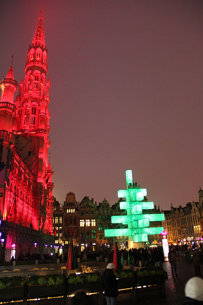 Bryssel 28 november - 1 december 2012 (165)
